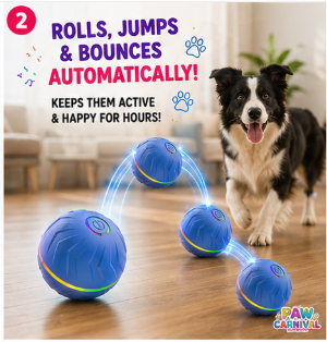 ⭐ Paw Carnival™ PlayPulse Ball