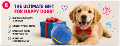 ⭐ Paw Carnival™ PlayPulse Ball
