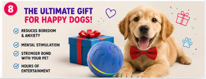 ⭐ Paw Carnival™ PlayPulse Ball