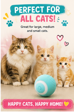 🐾 Paw Carnival™ Happy Chase Rolling Ball