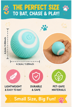 🐾 Paw Carnival™ Happy Chase Rolling Ball