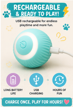 🐾 Paw Carnival™ Happy Chase Rolling Ball