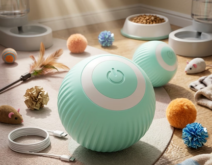 🐾 Paw Carnival™ Happy Chase Rolling Ball